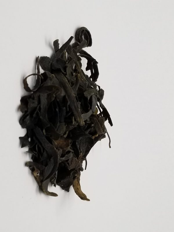Bladderwrack c/s